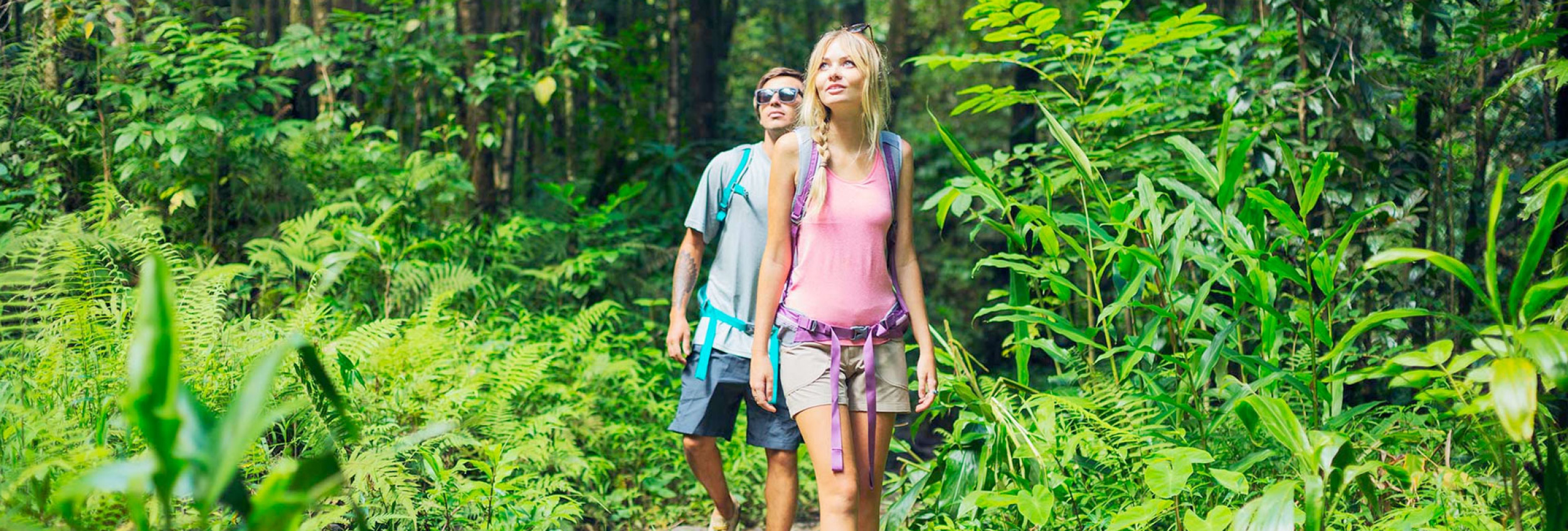 tours-activities-services-more-to-do-maui-hawaii