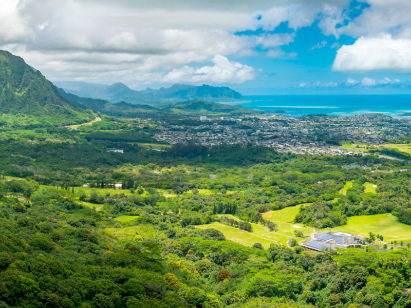 Pali hawaiian store