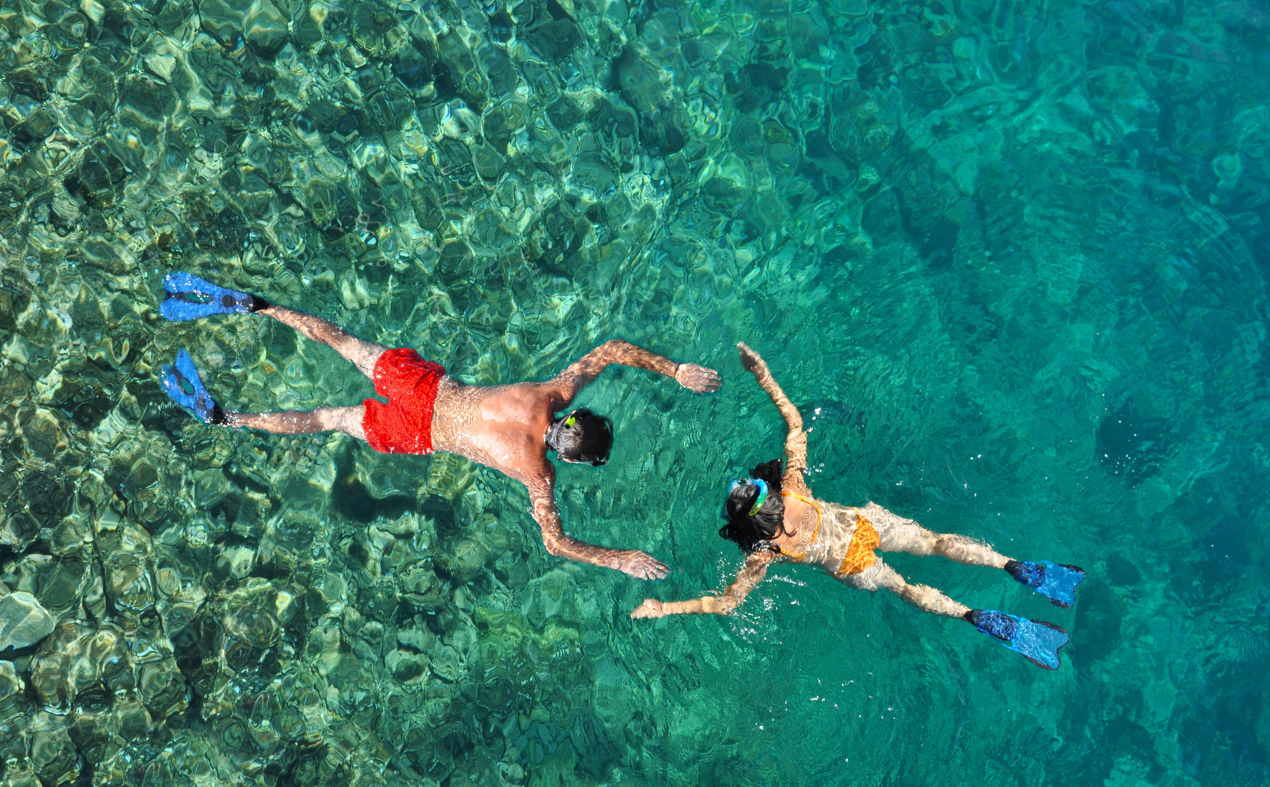 Kauai Snorkeling Tours 