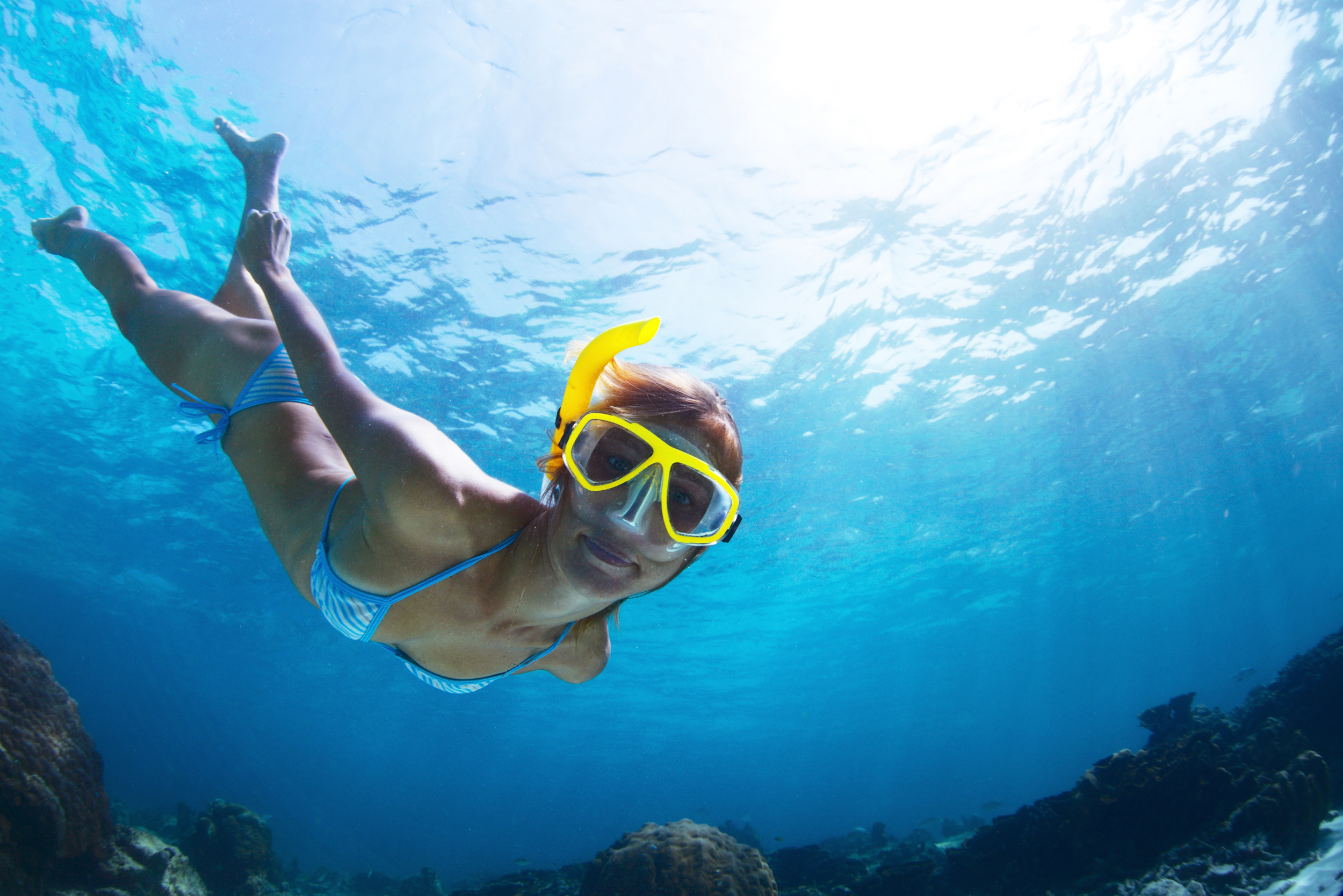 Snorkeling Tours To Do & Experience Activities on Maui Hawaii