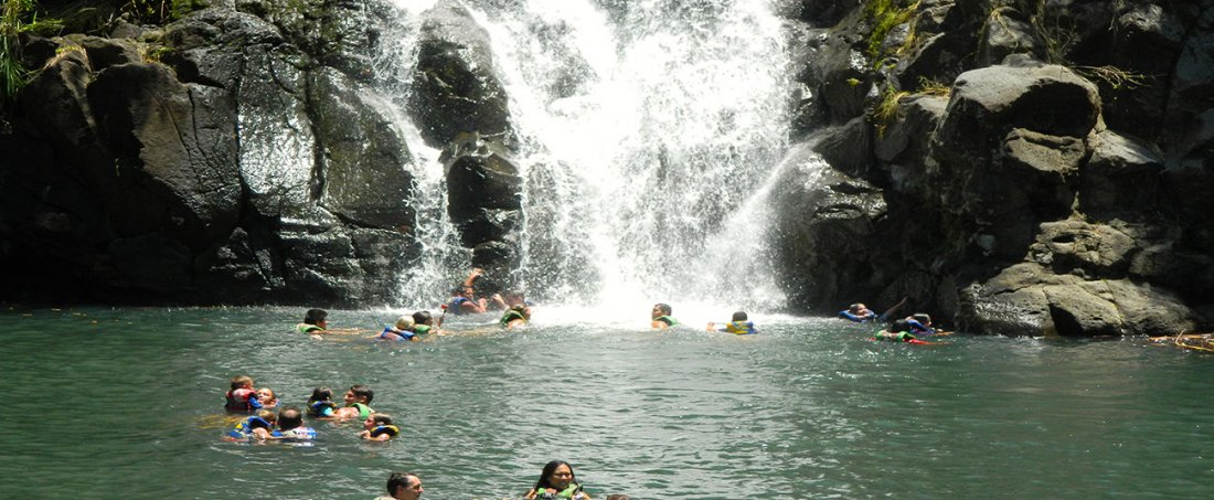 Enjoy an afternoon swimming in the Waimea Falls