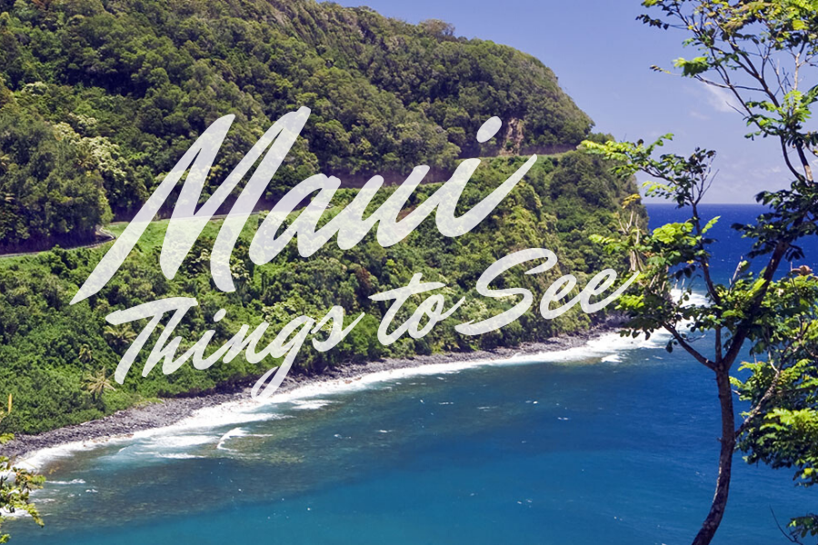 Maui Travel Guide: Top Things to Do on Vacation
